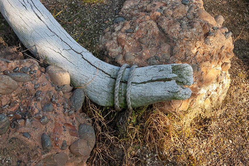 CRW_1597